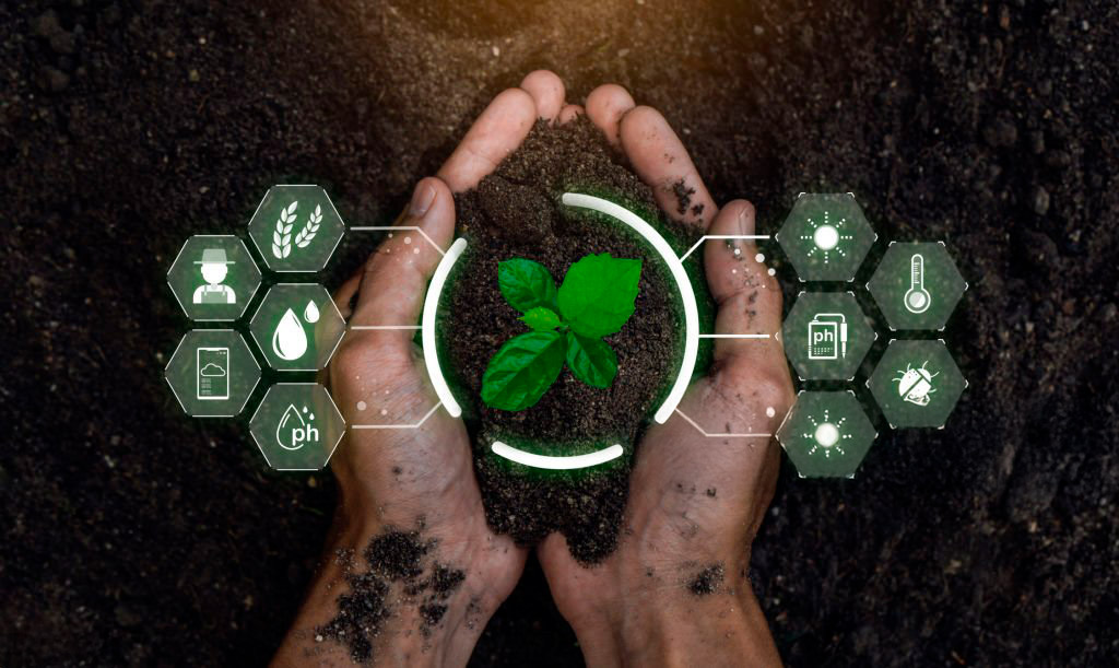 Imagen representativa de la Visión